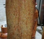 鄭州電子產品的技術開發、非研制與技術咨詢及軟件開發服務概覽